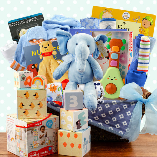 Grand Welcome: Baby Boy Gift Basket